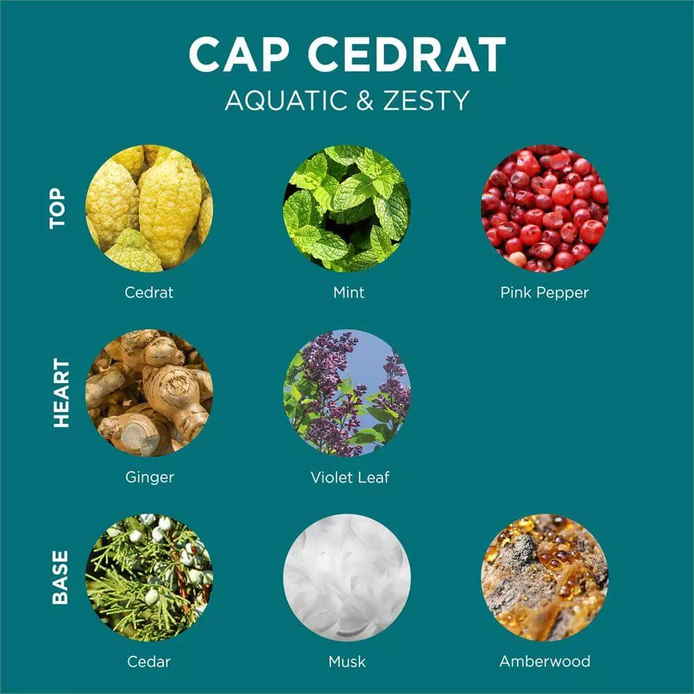 L'Occitane Cap Cedrat Eau de Toilette 75ml